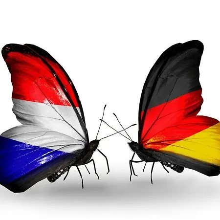 Dom wakacyjny Huijsmans Verhuur Type Deluxe Zuiderdiep 11