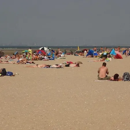 Huijsmans Verhuur Type Deluxe Zuiderdiep 11 * Ouddorp