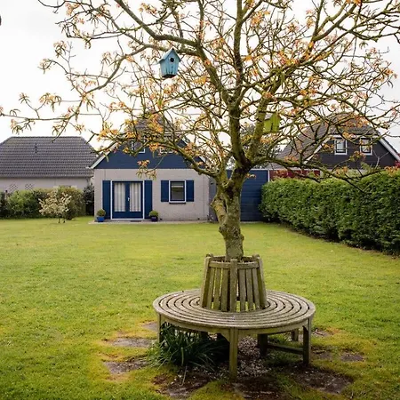 Dom wakacyjny Huijsmans Verhuur Type Deluxe Zuiderdiep 11 Ouddorp