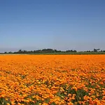 Huijsmans Verhuur Type Deluxe Zuiderdiep 11 우도르프
